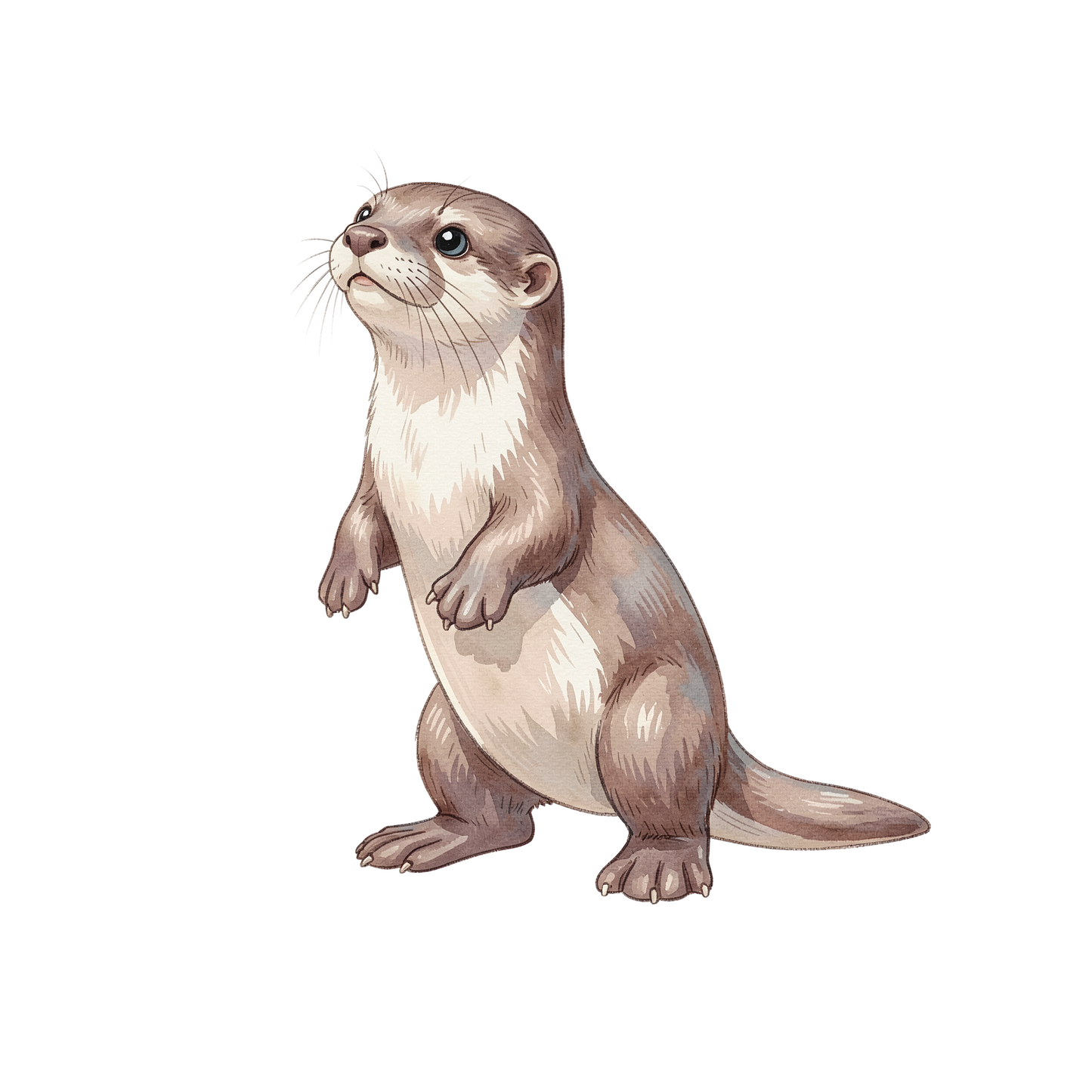 otter-einzel-2.png