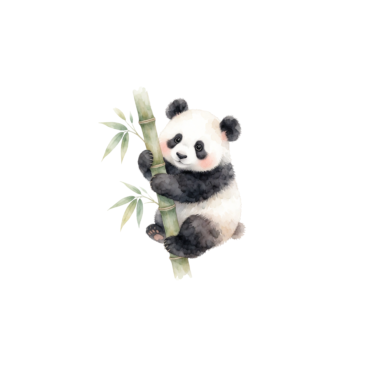 panda-einzel-1.png
