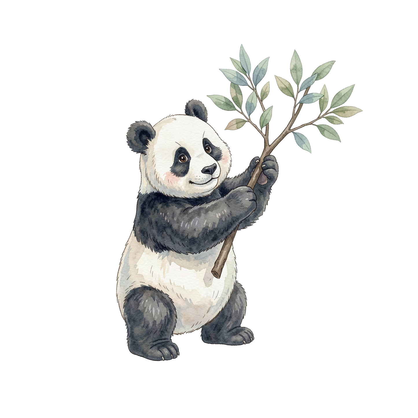 panda-einzel-3.png