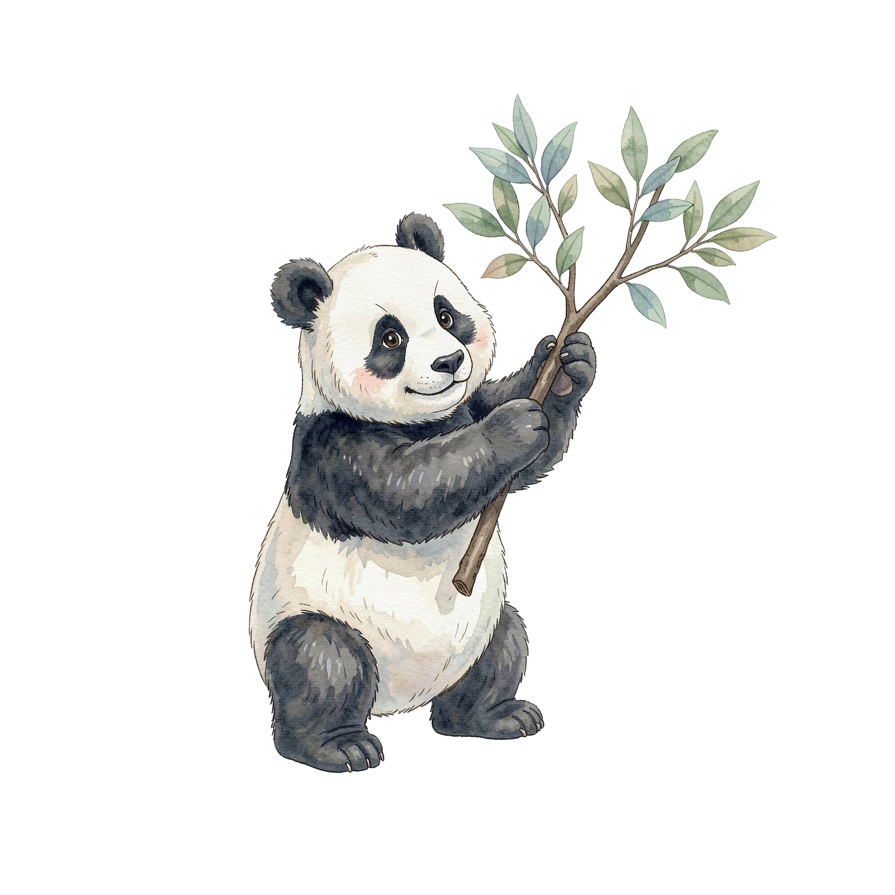 panda-einzel-3.png
