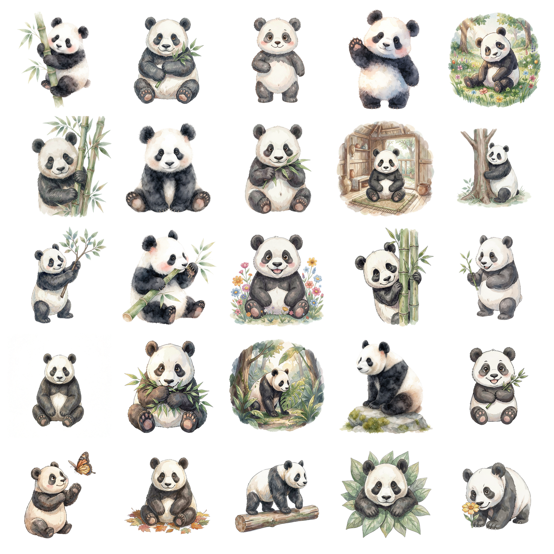 panda-titelbild.png
