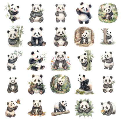 panda-titelbild.png