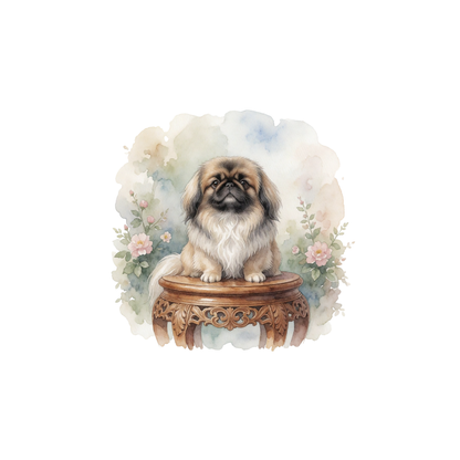 pekingese-einzel-1.png
