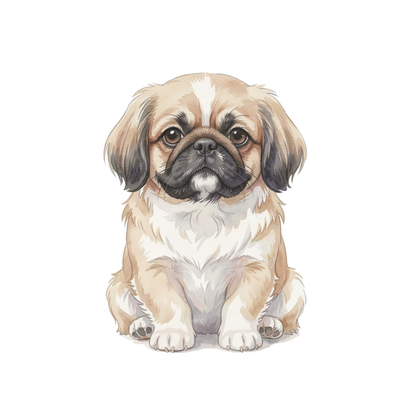pekingese-einzel-3.png