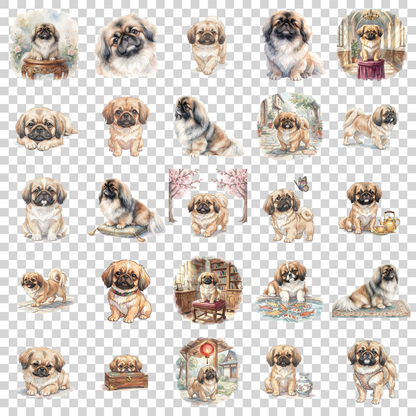 pekingese-transparent.png