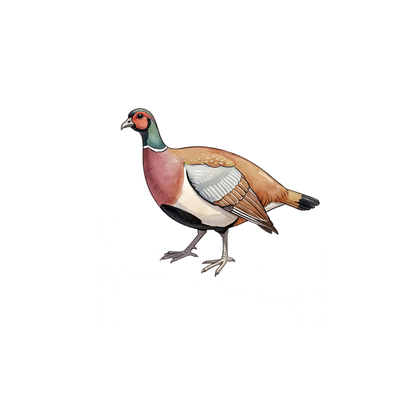 perlhuhn-einzel-4.png