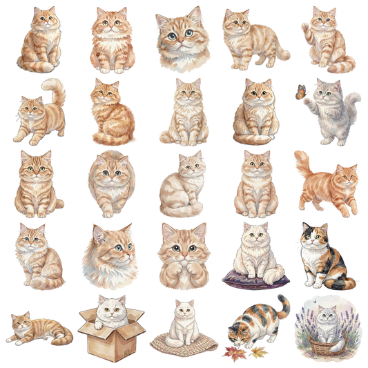 perserkatze-titelbild.png