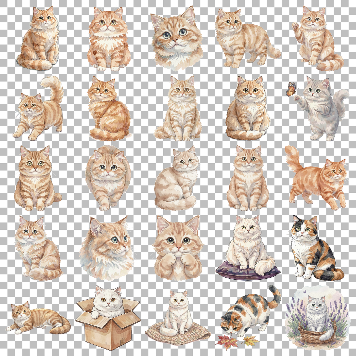 perserkatze-transparent.png