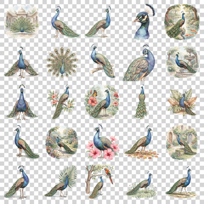 pfau-transparent.png