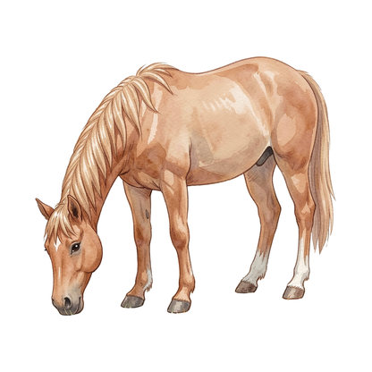pferd-einzel-1.png