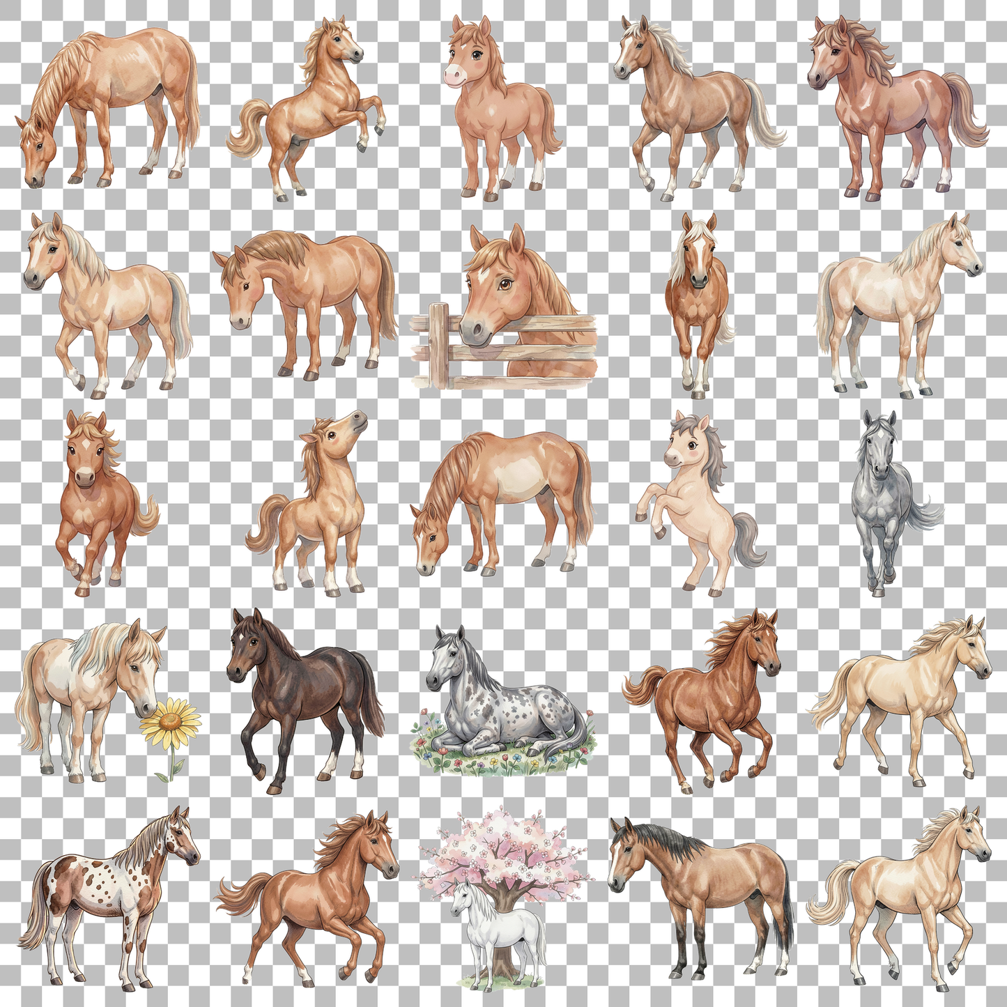 pferd-transparent.png