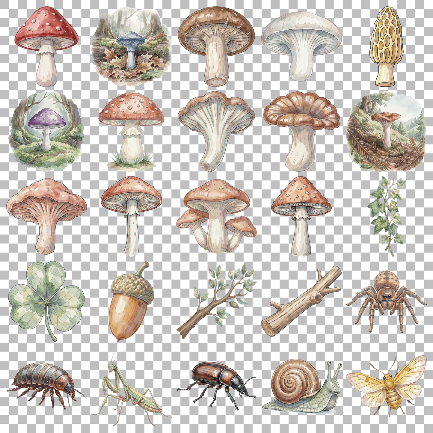 pilze-und-waldboden-transparent.png