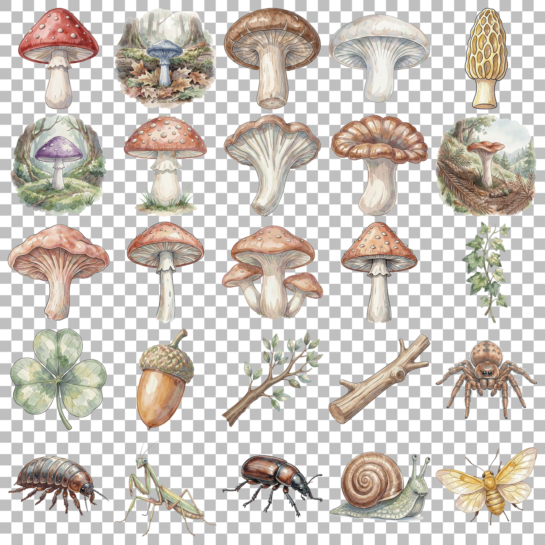 pilze-und-waldboden-transparent.png