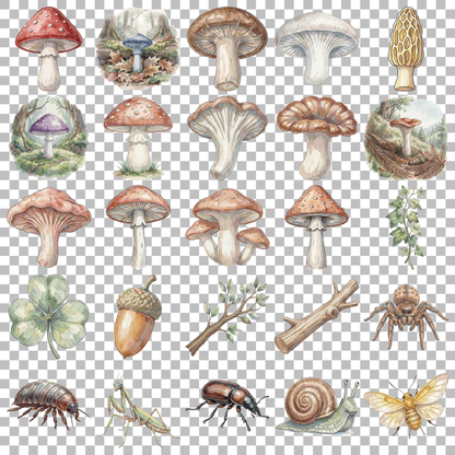 pilze-und-waldboden-transparent.png
