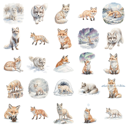 polarfuchs-titelbild.png