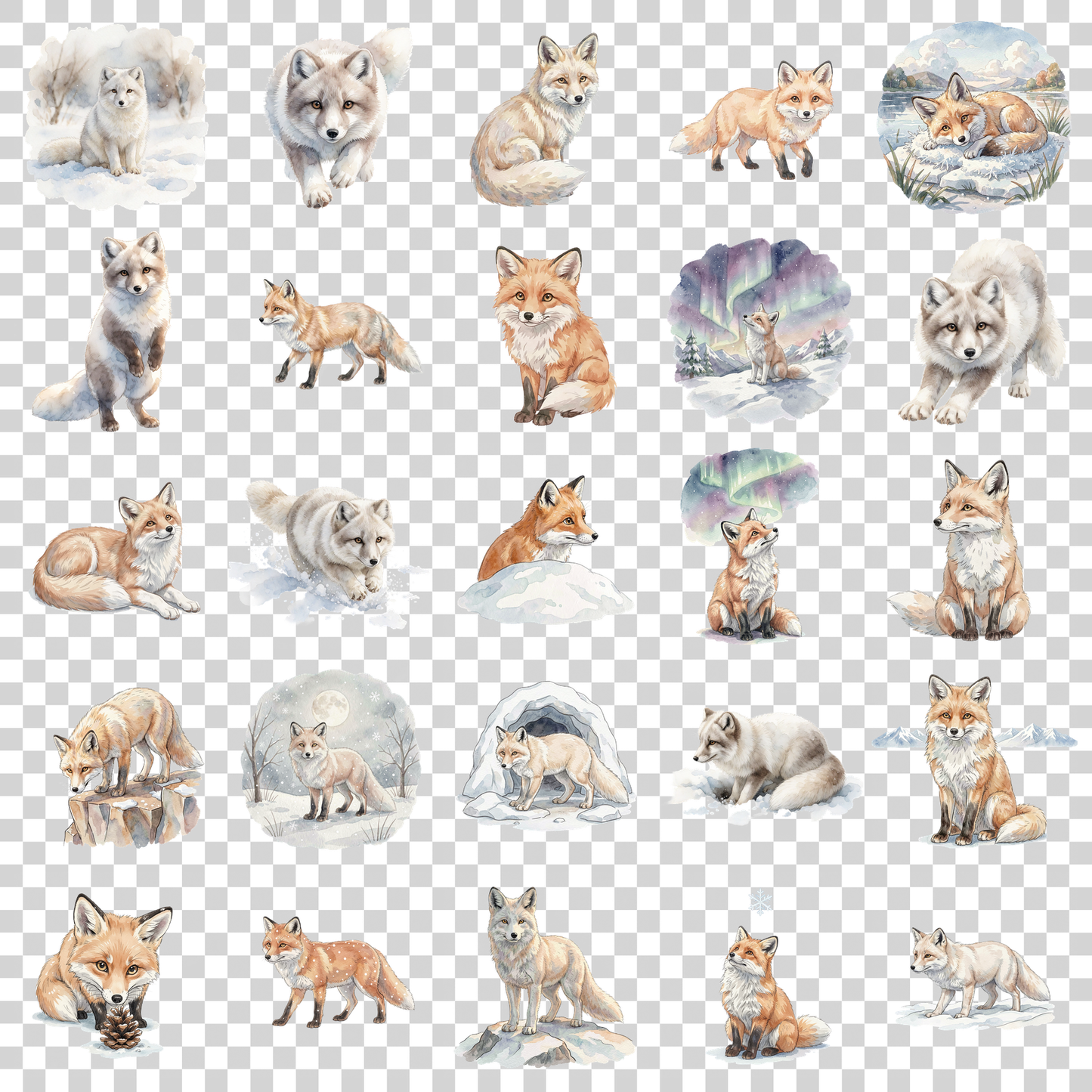 polarfuchs-transparent.png
