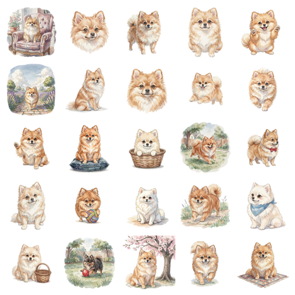 pomeranian-titelbild.png