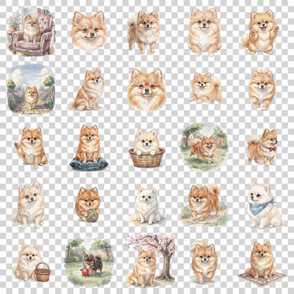 pomeranian-transparent.png
