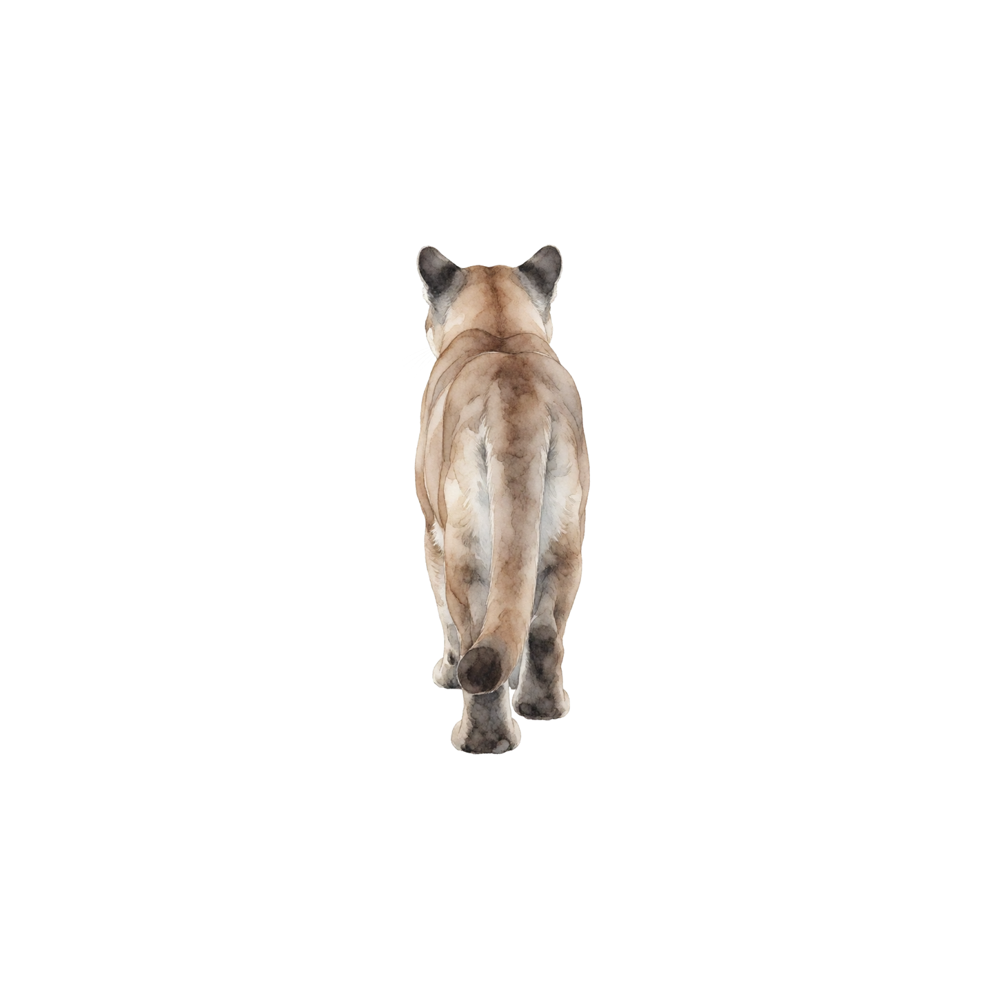 puma-einzel-3.png