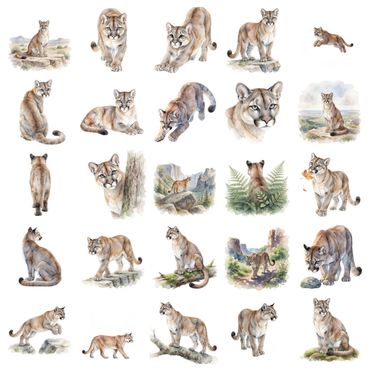 puma-titelbild.png