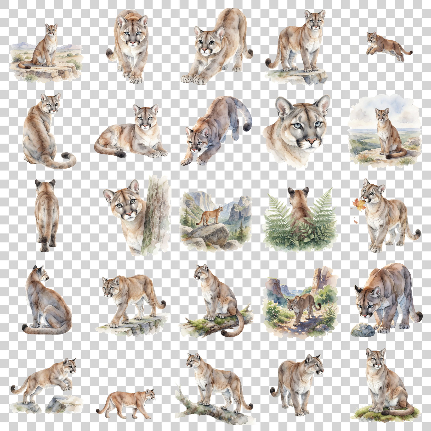 puma-transparent.png