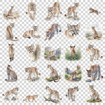 puma-transparent.png