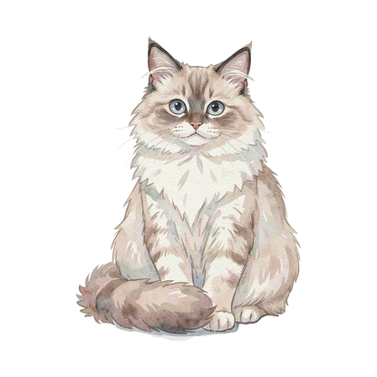 ragdoll-katze-einzel-2.png