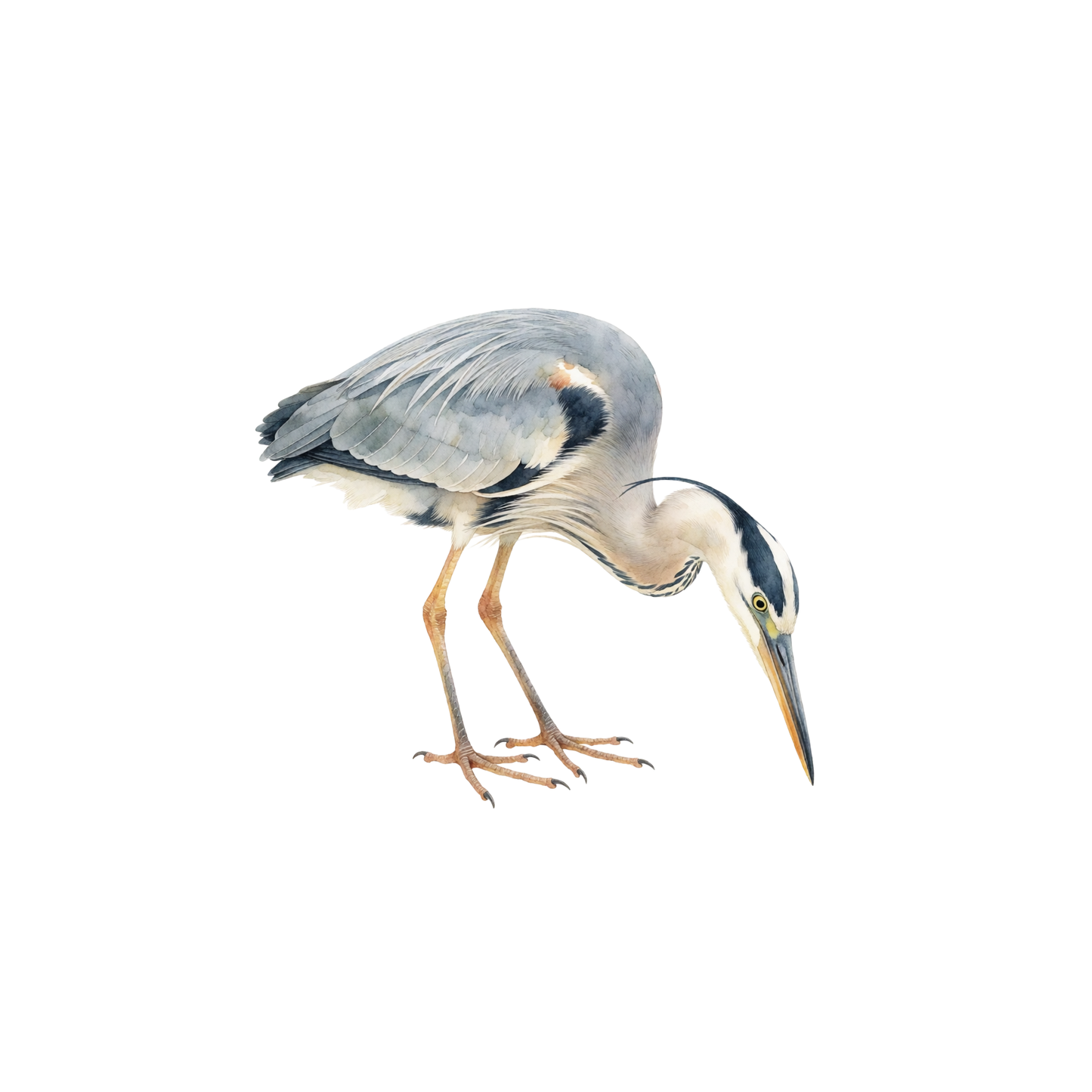 reiher-einzel-2.png
