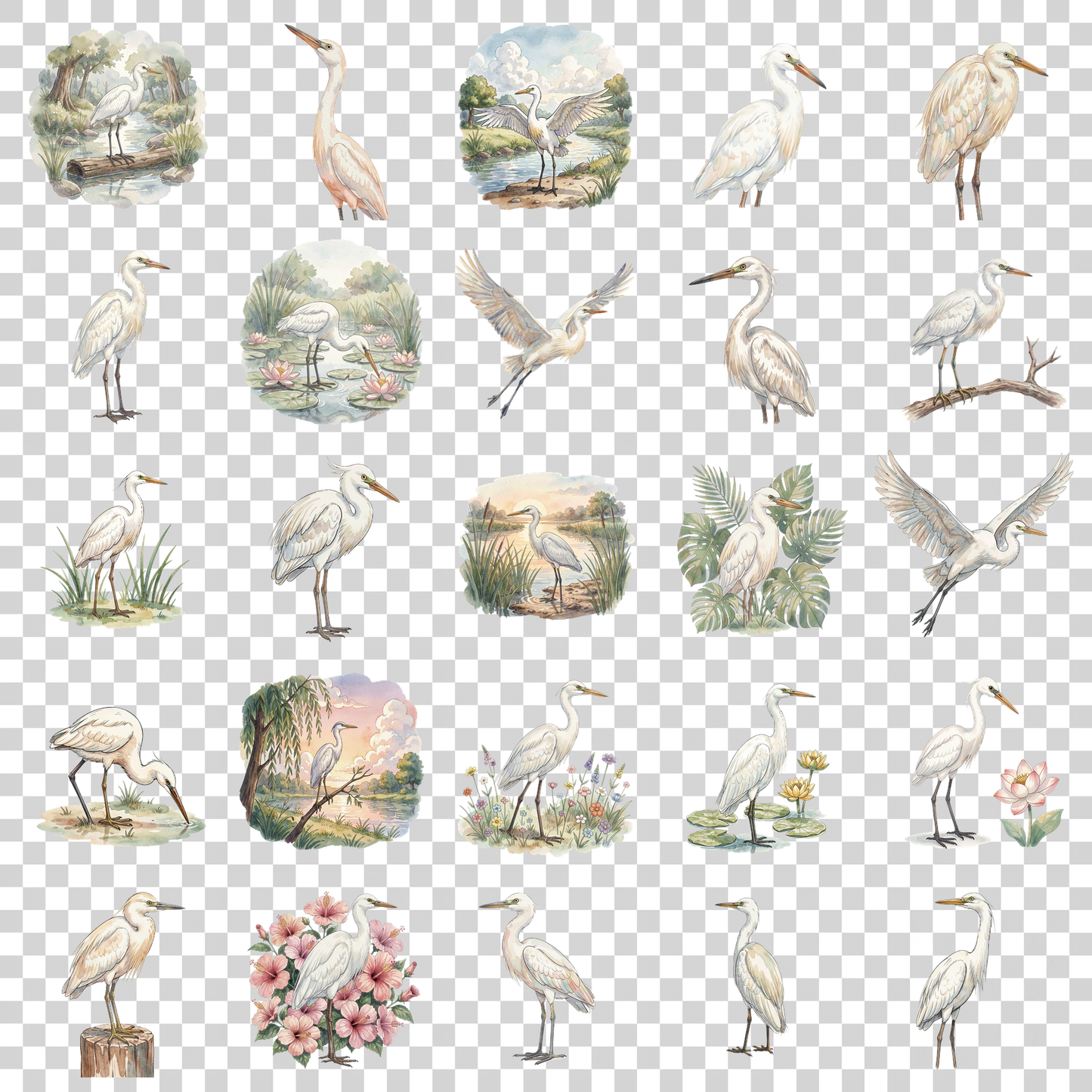 reiher-transparent.png