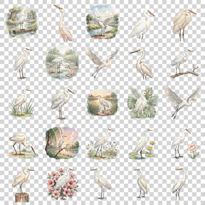 reiher-transparent.png