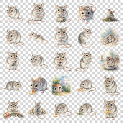 rennmaus-transparent.png