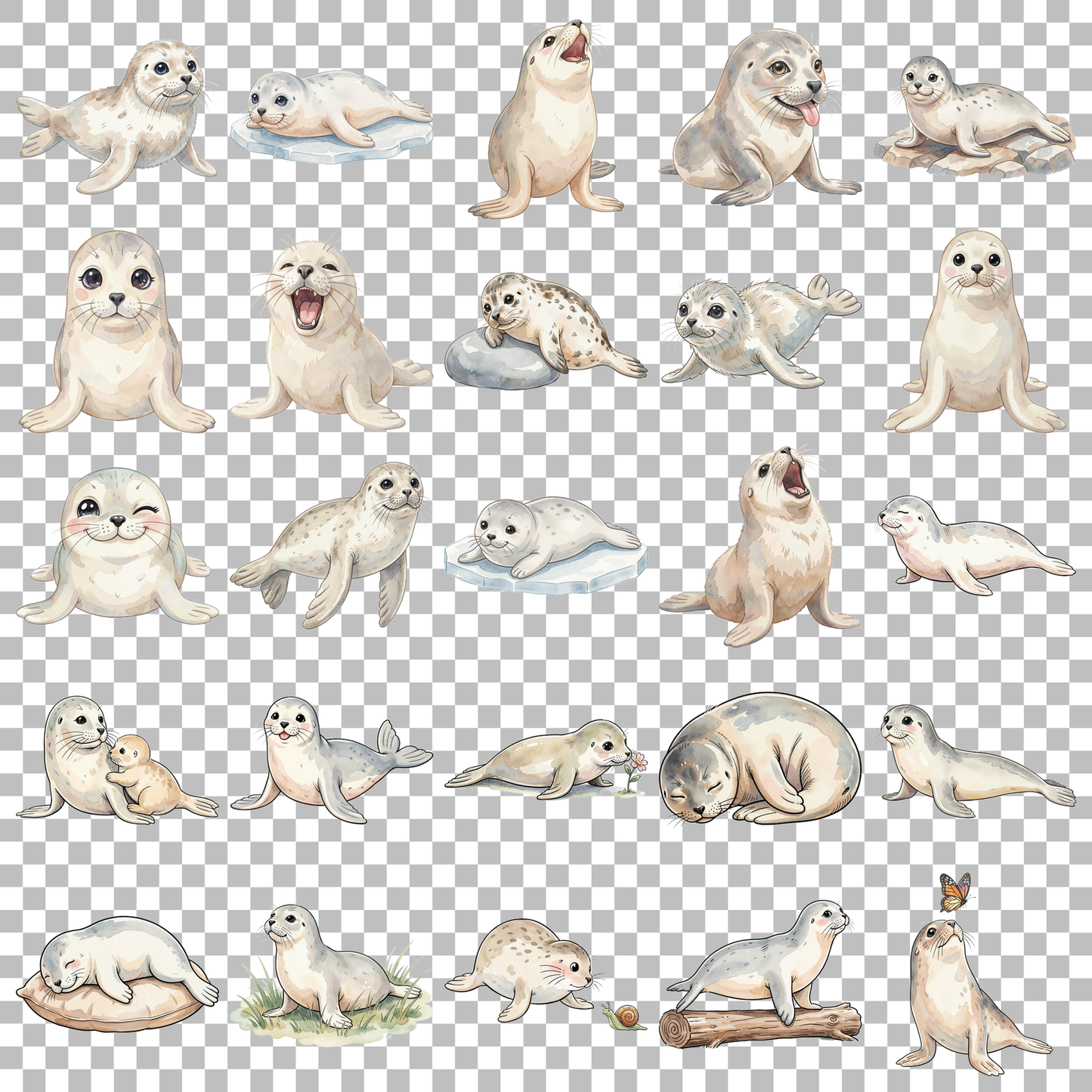 robbe-transparent.png
