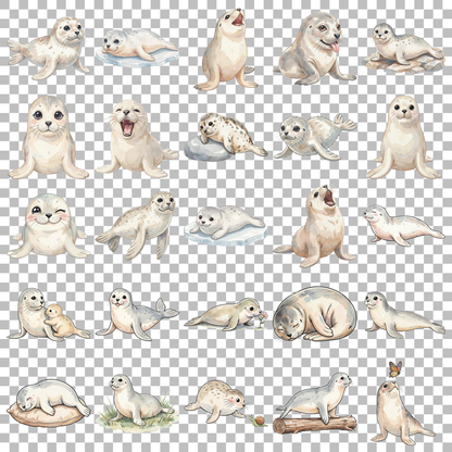 robbe-transparent.png