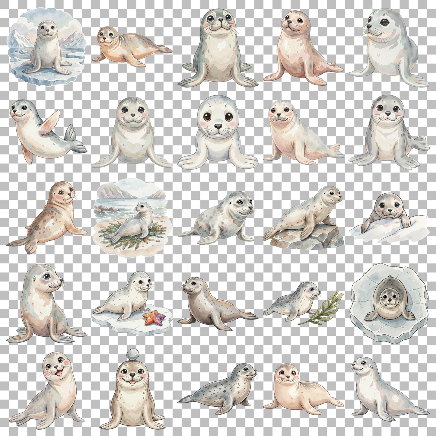 robbe-transparent.png