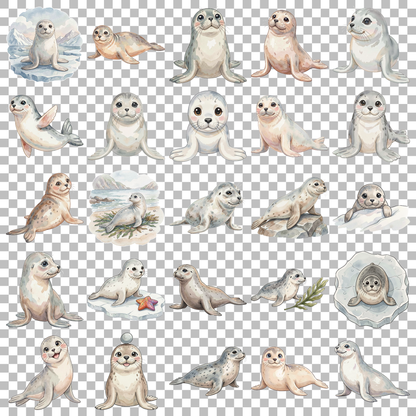 robbe-transparent.png
