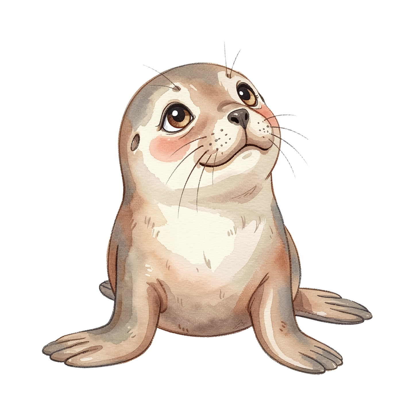 robbenbaby-einzel-1.png