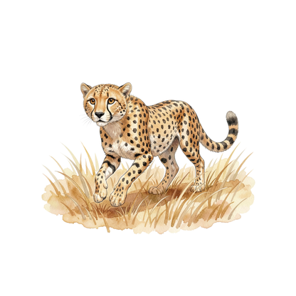 safari-tiere-einzel-2.png