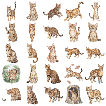 savannah-katze-titelbild.png