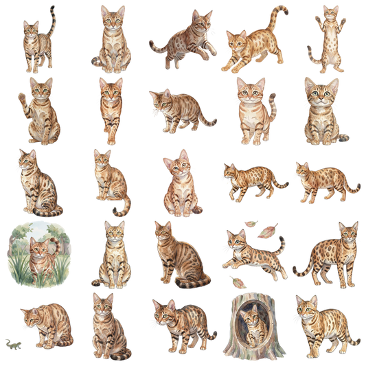 savannah-katze-titelbild.png