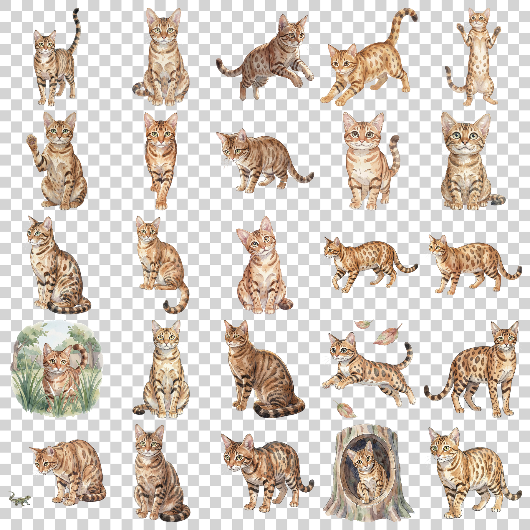 savannah-katze-transparent.png