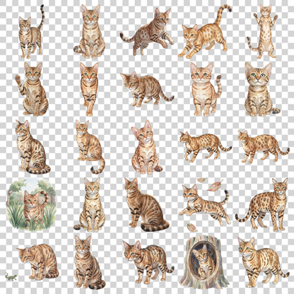 savannah-katze-transparent.png