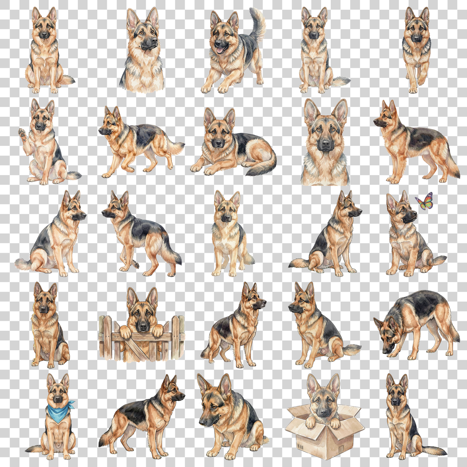 schaeferhund-transparent.png
