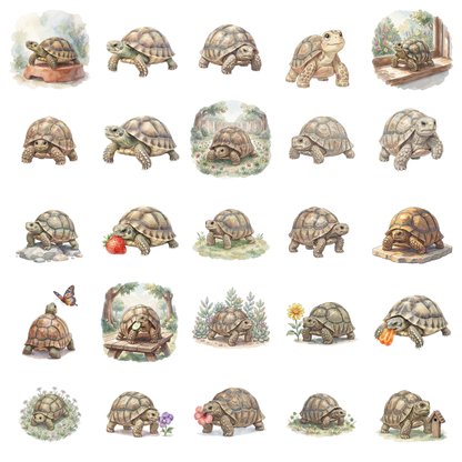 schildkroete-haustier-titelbild.png