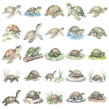 schildkroete-titelbild.png