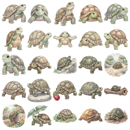 schildkroete-titelbild.png