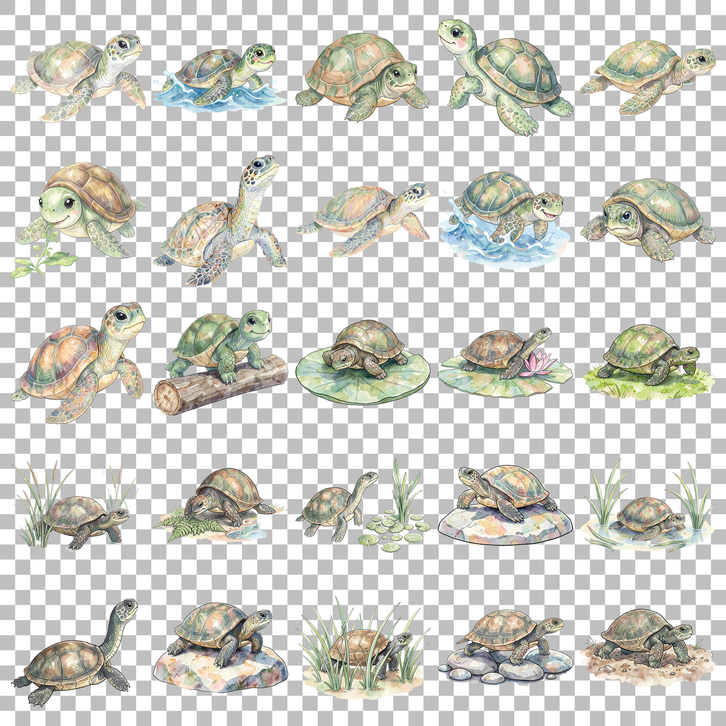 schildkroete-transparent.png