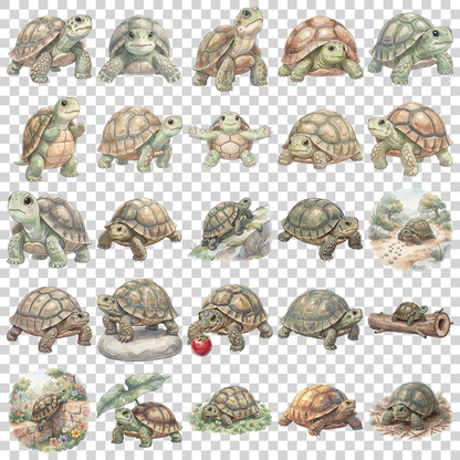 schildkroete-transparent.png