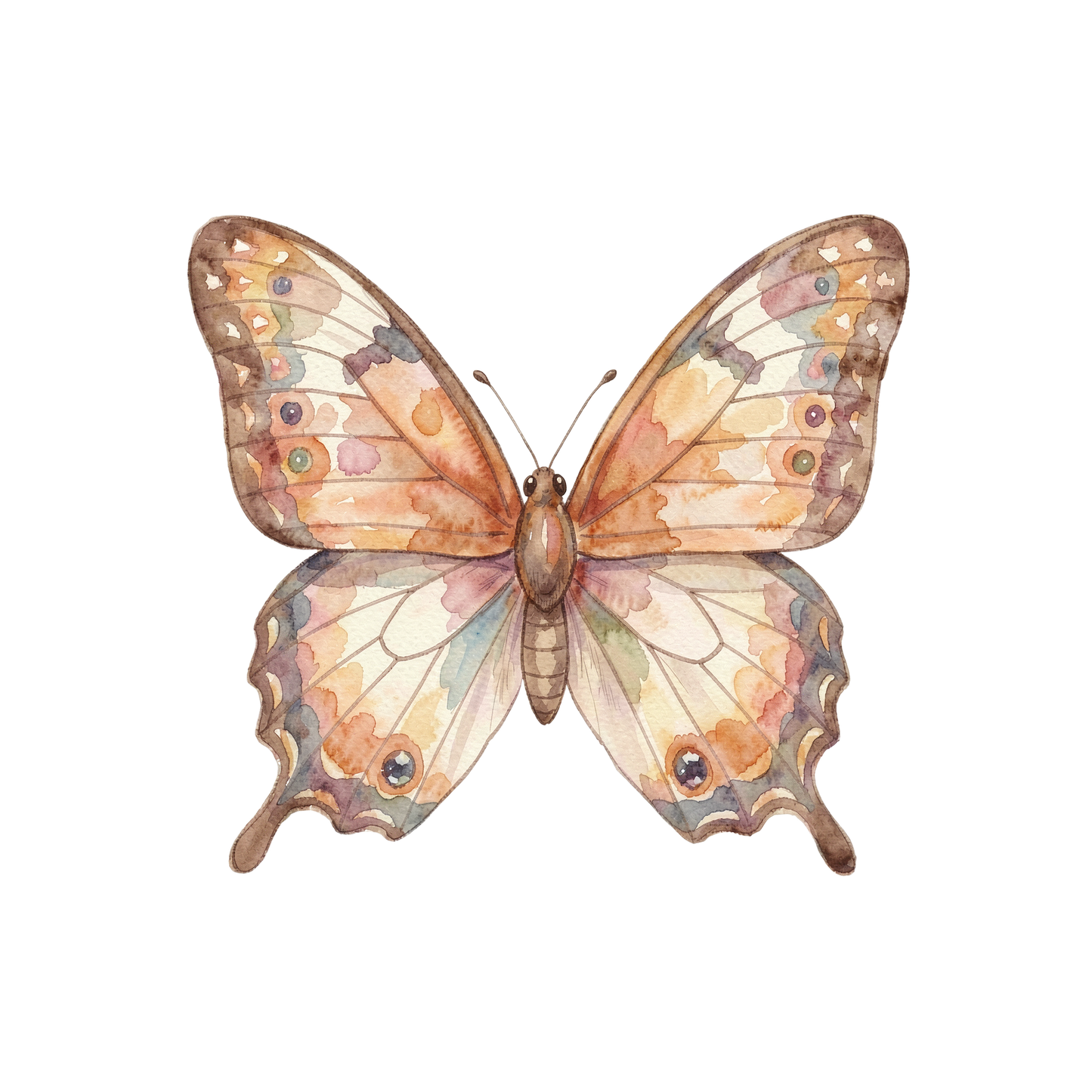 schmetterling-einzel-1.png