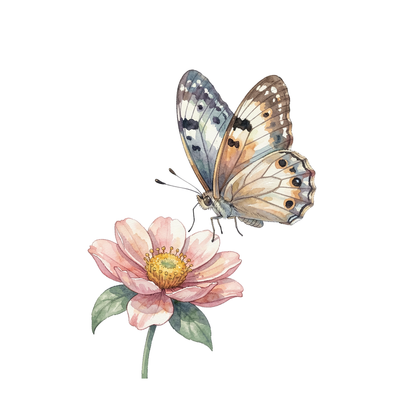 schmetterling-einzel-3.png