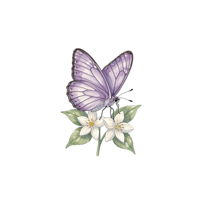 schmetterling-einzel-5.png